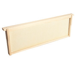 Medium Wooden Frame with Plastic Foundation