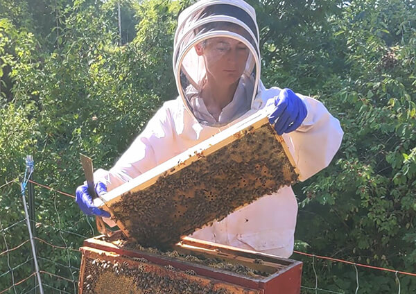 Master Beekeeper, Anne Frey