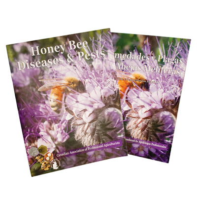 Buzzin' Bargains | Betterbee