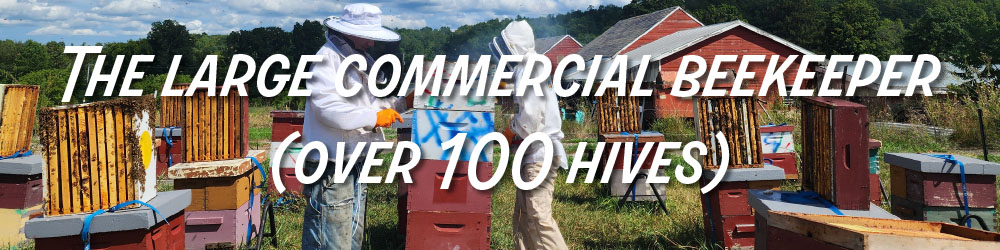 The large commercial beekeeper (over 100 hives)