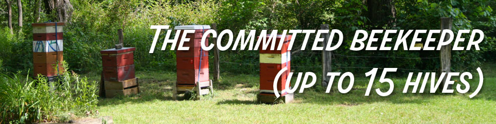 The committed beekeeper (up to 15 hives)