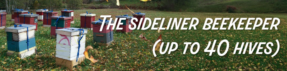 The sideliner beekeeper (up to 40 hives)