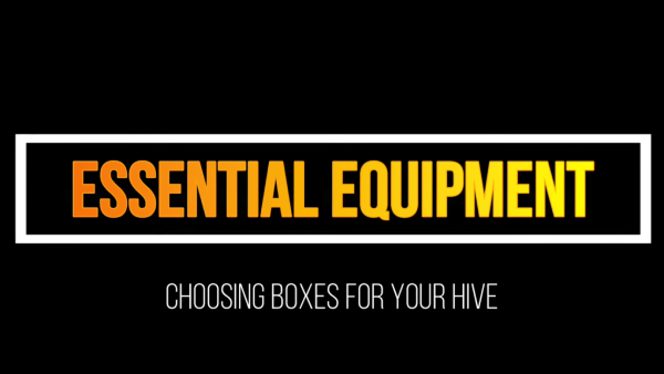 essential equipement choosing boxes for your hive