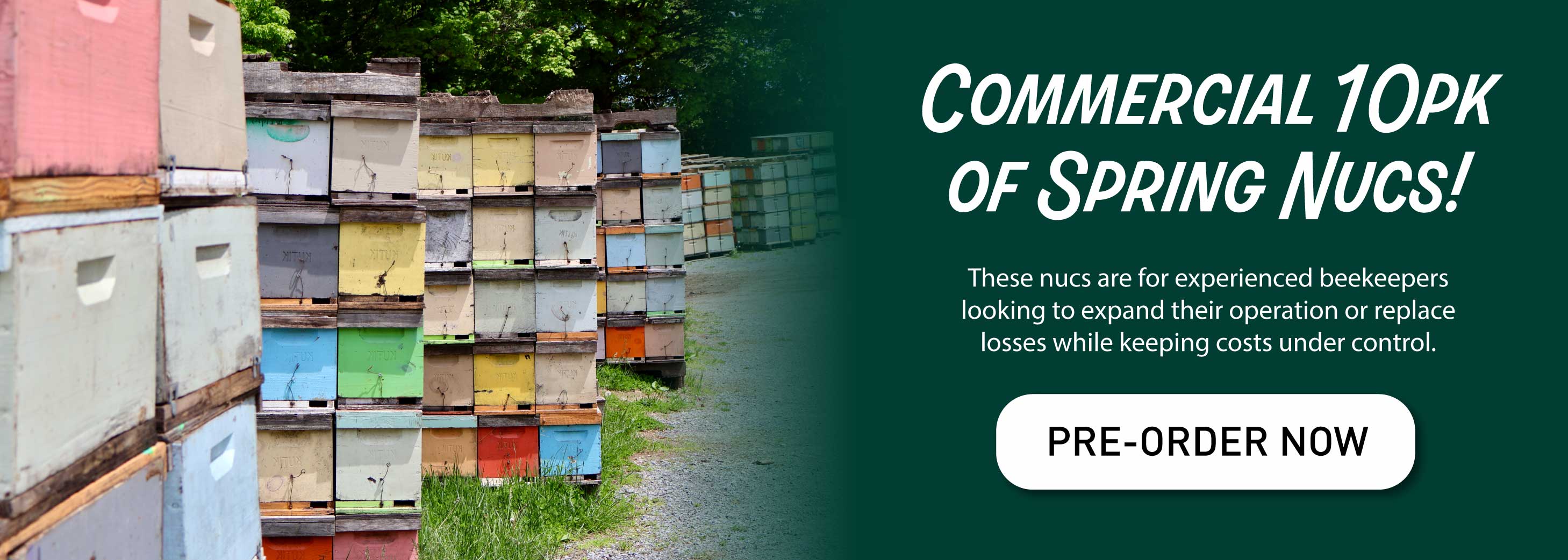 Commercial 10pk of Spring Nucs