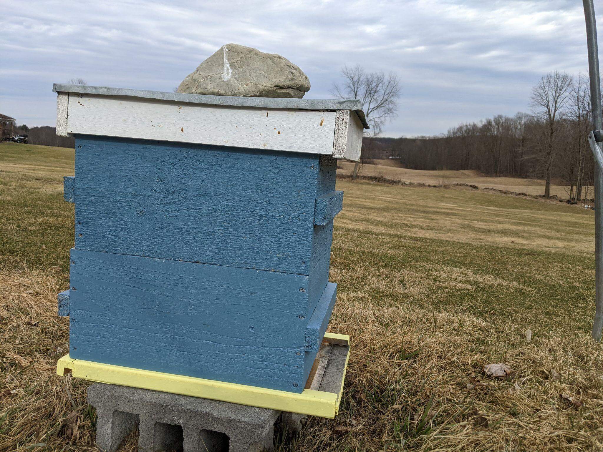 a bee hive with a rock place on top of the inner cover