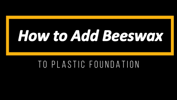 Title graphic reading How to Add Beeswax to Plastic Foundation on a black background with yellow border accents.