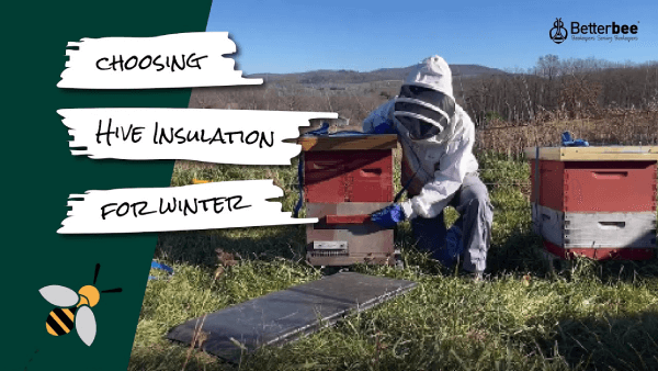 Beekeeper wrapping a hive in a field with the text 'Choosing Hive Insulation for Winter' and the Betterbee logo in the corner.