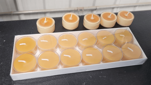 Rows of finished beeswax tealight candles in clear plastic and wooden cups arranged on a table.
