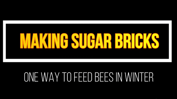 Title screen reading Making Sugar Bricks ? One Way to Feed Bees in Winter on a black background with bold yellow lettering.