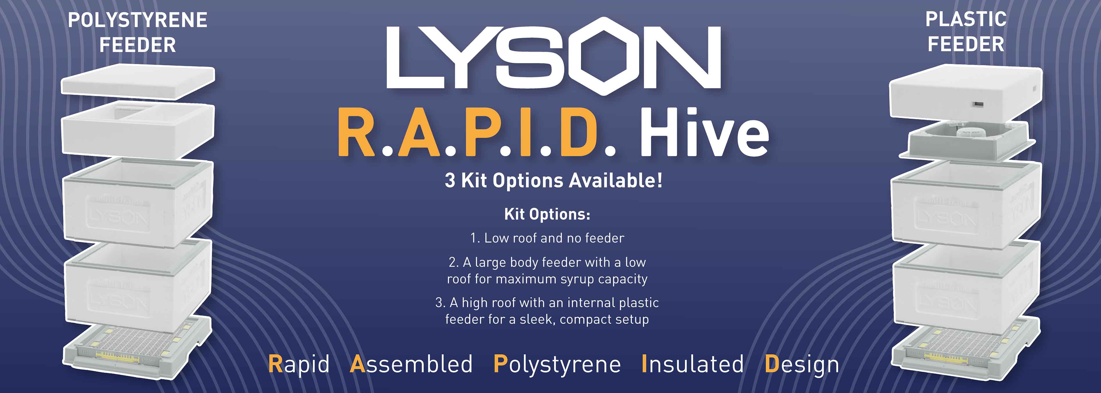 New Year New Hive - RAPID
