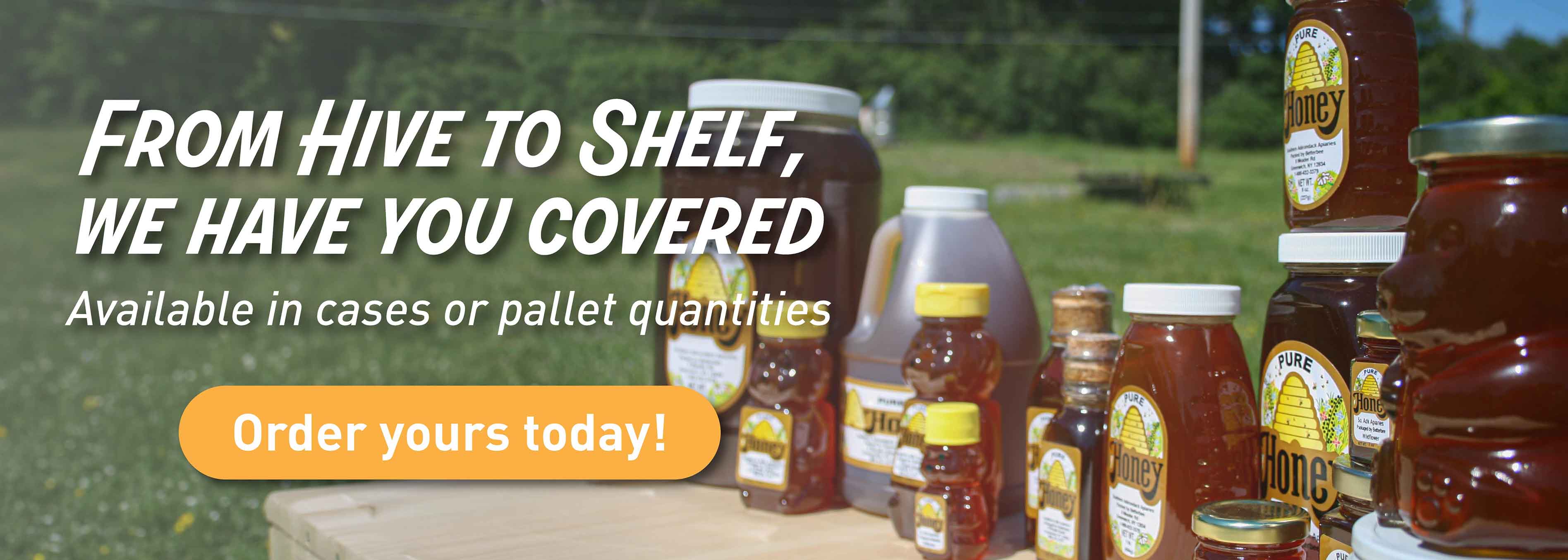 Honey Jars