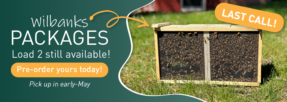 2026 Pre-order Packages - last call