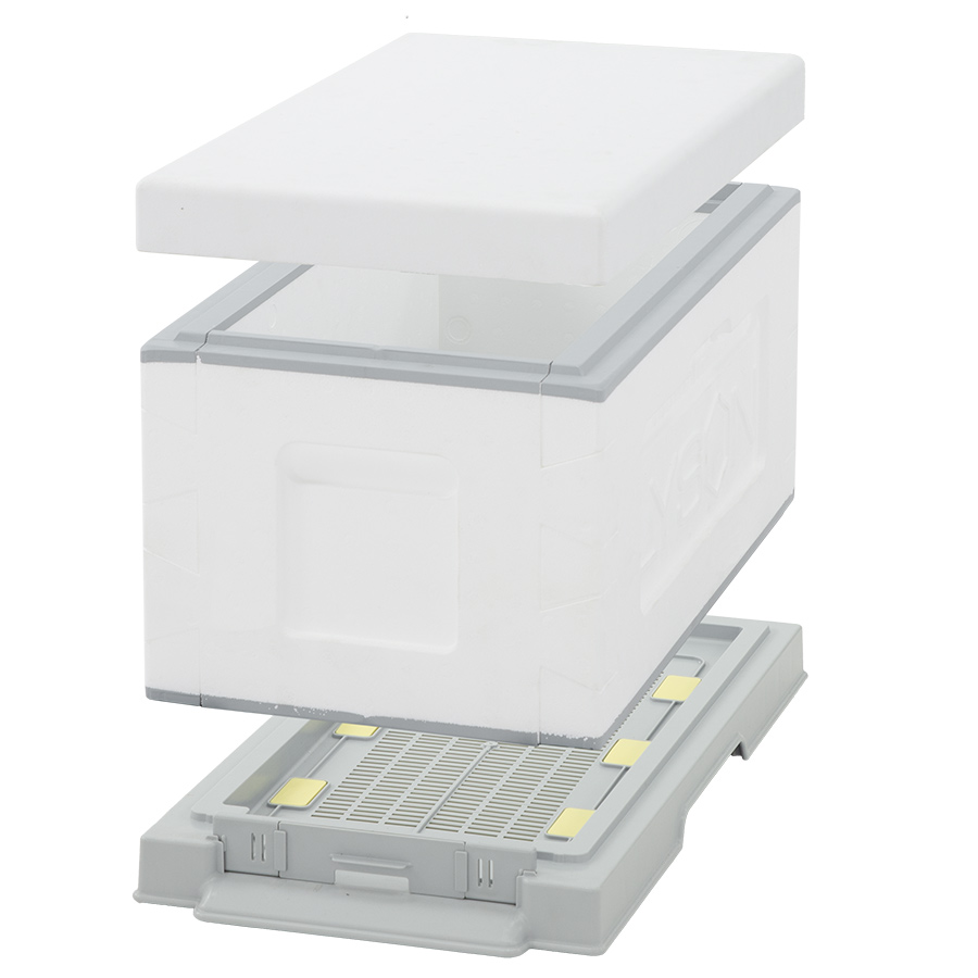 Lyson RAPID 6 Frame Nuc Kit | Betterbee