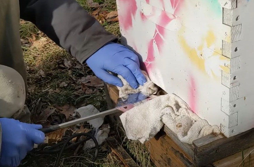 vaporization treating hive with oxalic acid