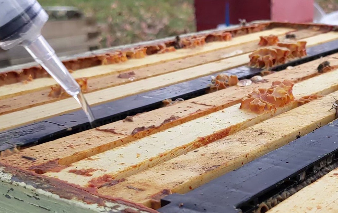 dosing hive with oxalic acid - dribble method.