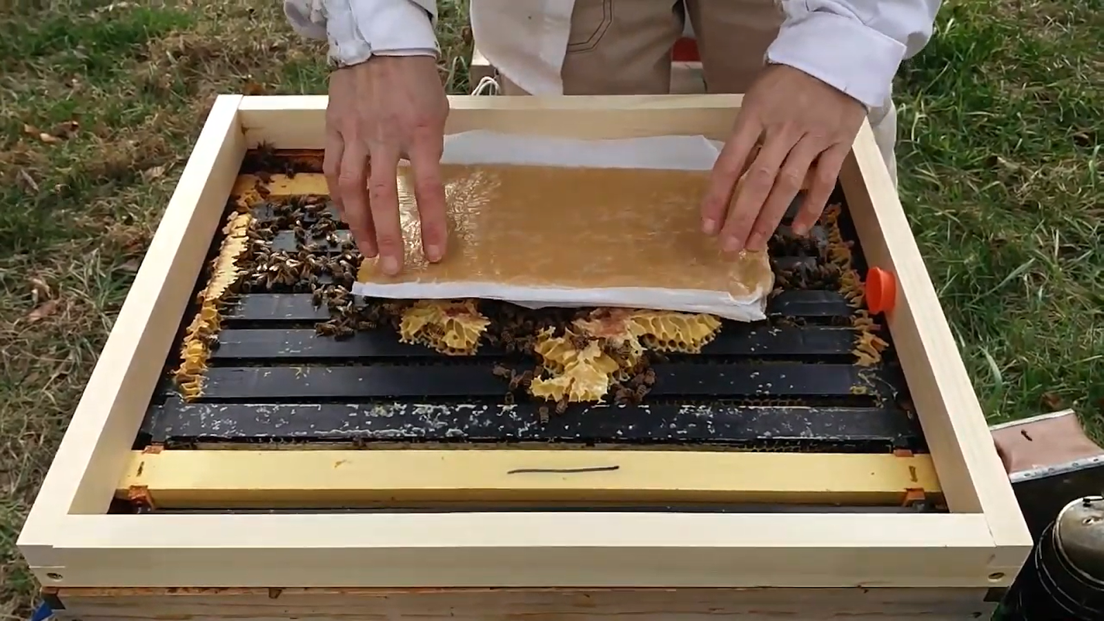 Beekeeper placing winter patties on top bars of frames in a hive