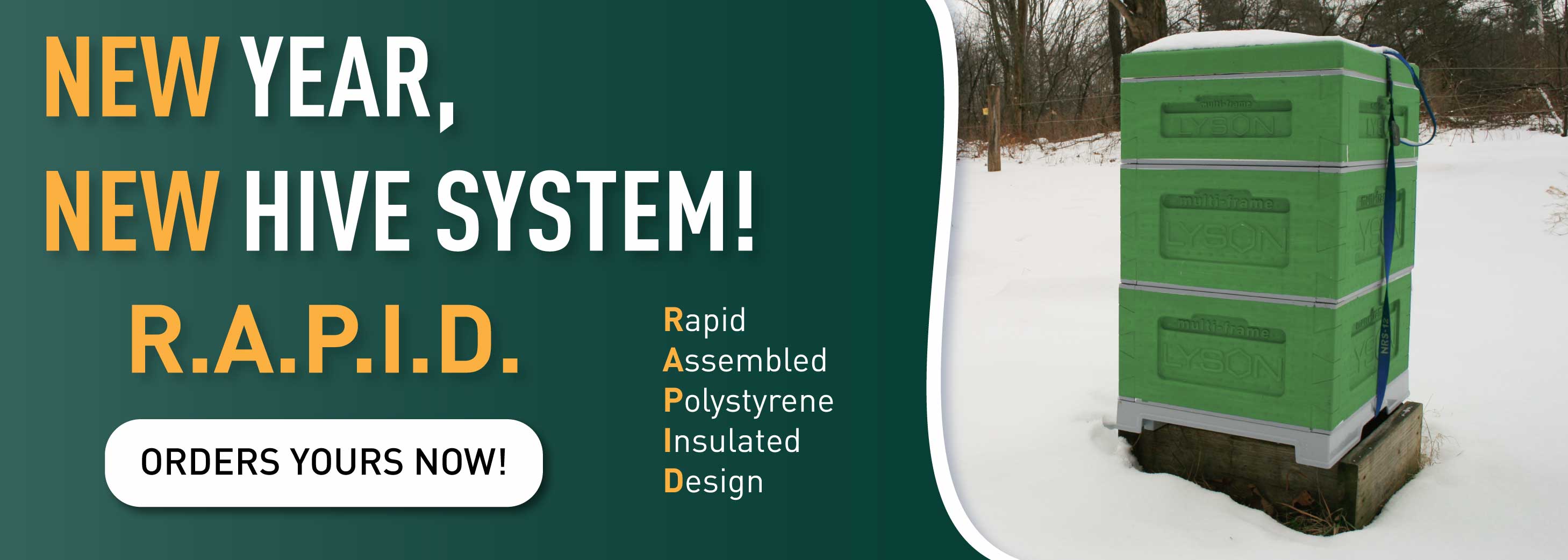 New Year New Hive - RAPID