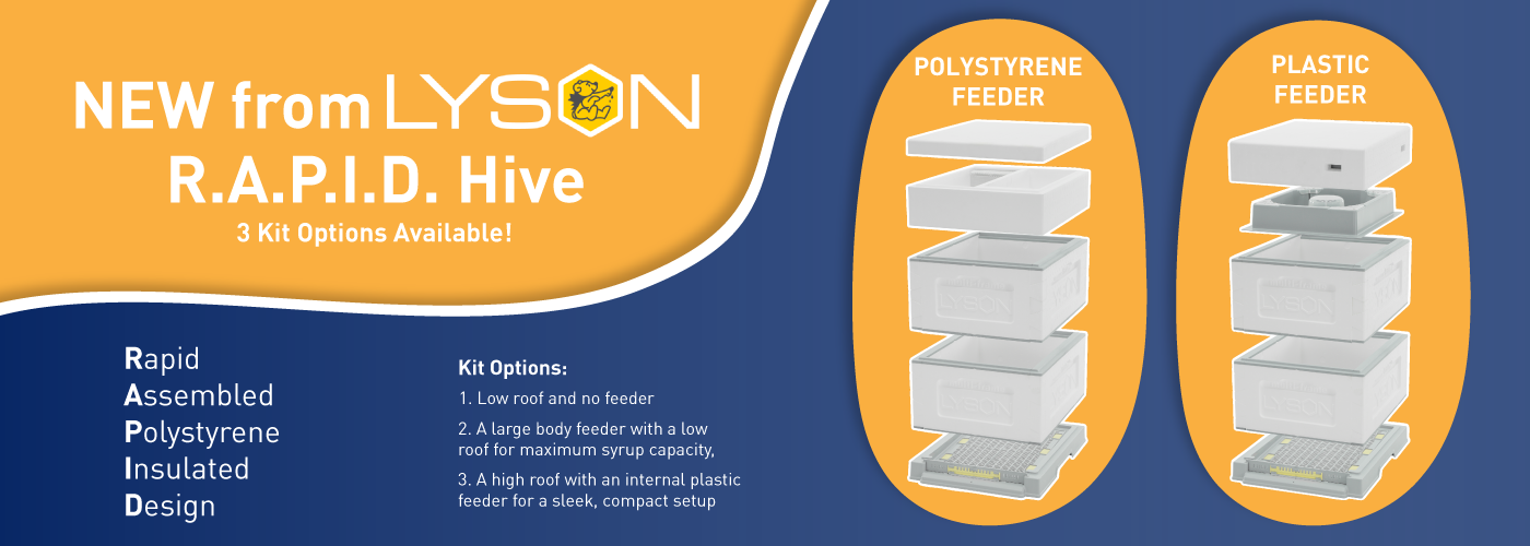 New Year New Hive - RAPID