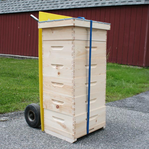 Honey Super Pallet in use
