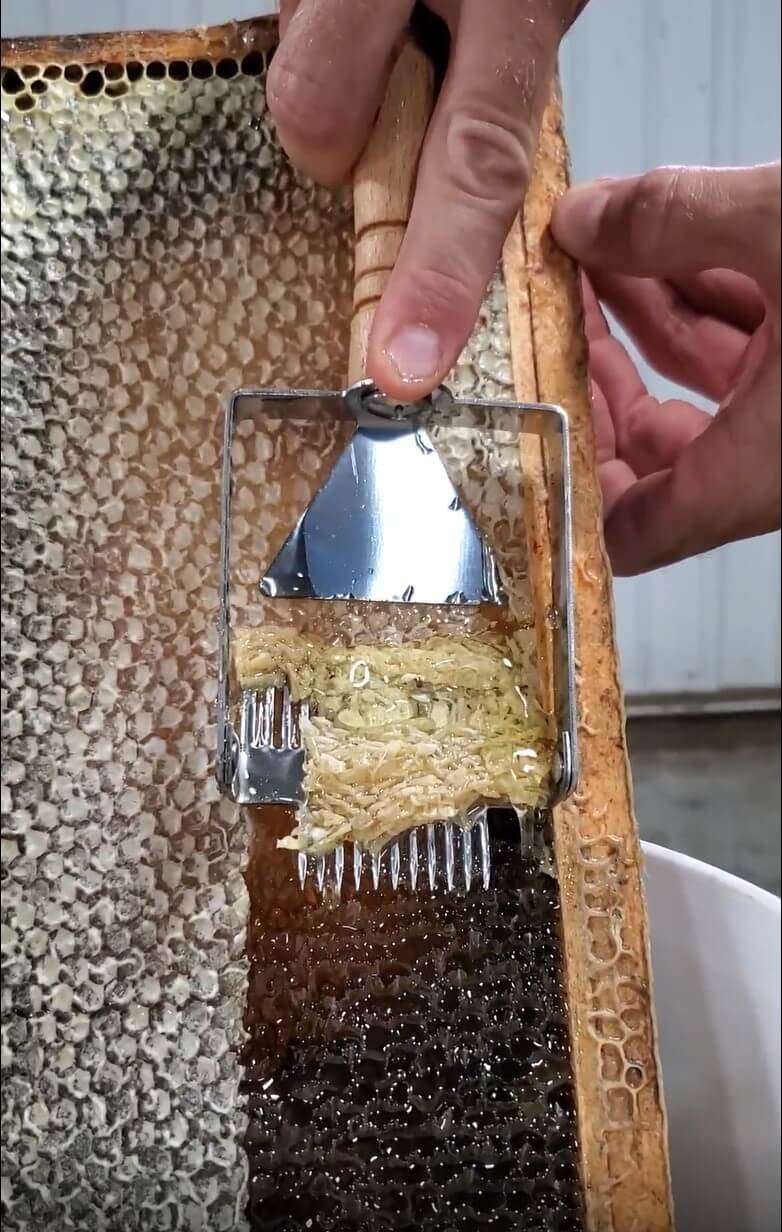 a honey frame being uncapped