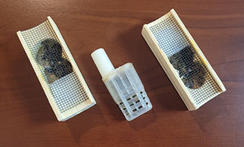 JZ’s BZ’s queen cage and California mini cage